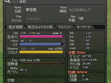 mabinogi_2009_11_07_02.jpg