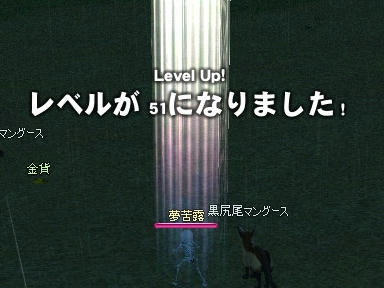 mabinogi_2009_11_07_03.jpg