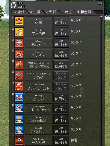 mabinogi_2009_11_07_04.jpg