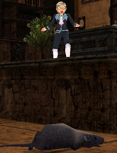mabinogi_2009_11_08_12.jpg