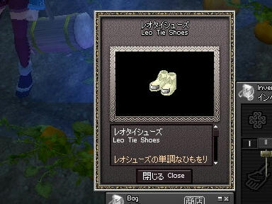 mabinogi_2009_11_26_01.jpg
