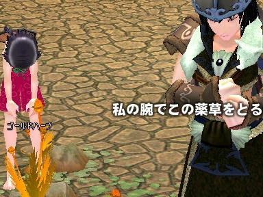 mabinogi_2009_12_05_00.jpg