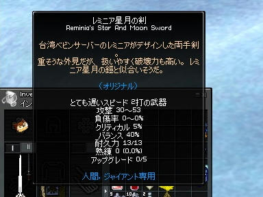 mabinogi_2009_12_06_09.jpg