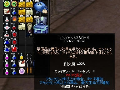 mabinogi_2009_12_08_03.jpg