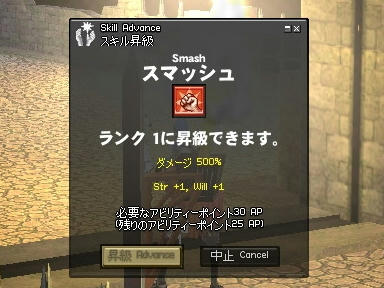 mabinogi_2009_12_23_09.jpg
