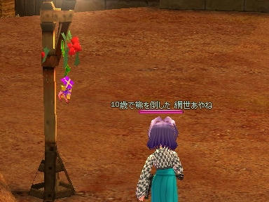 mabinogi_2009_12_26_01.jpg