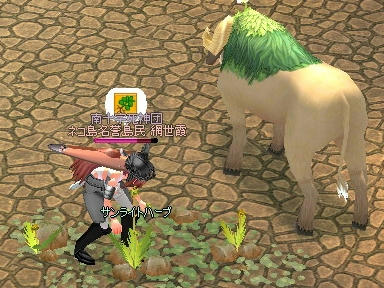 mabinogi_2009_12_27_01.jpg