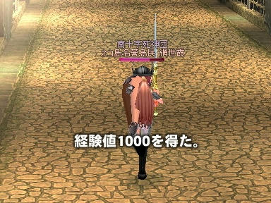 mabinogi_2009_12_27_02.jpg