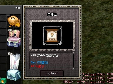mabinogi_2009_12_28_01.jpg