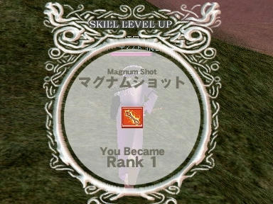 mabinogi_2009_12_28_04.jpg