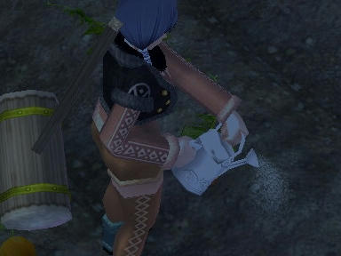mabinogi_2009_12_29_00.jpg