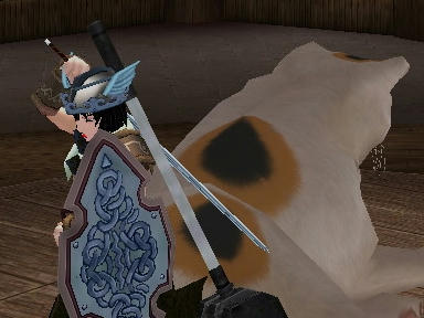 mabinogi_2010_01_02_06.jpg