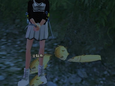 mabinogi_2010_01_02_10.jpg