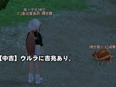 mabinogi_2010_01_04_01.jpg