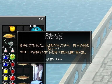 mabinogi_2010_01_05_00.jpg