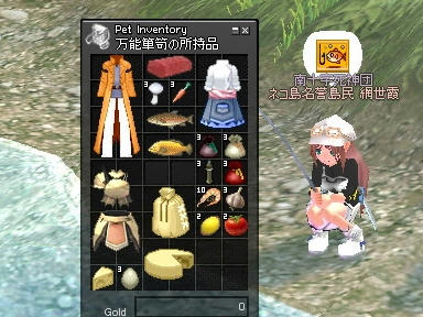 mabinogi_2010_01_05_01.jpg
