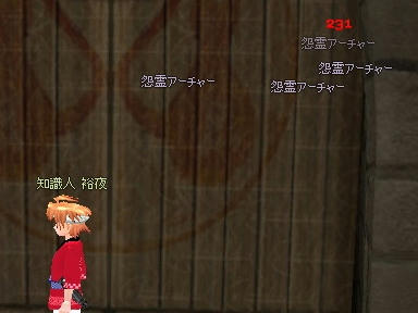 mabinogi_2010_01_06_02.jpg