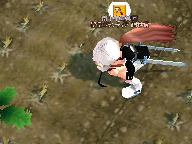 mabinogi_2010_01_21_01.jpg