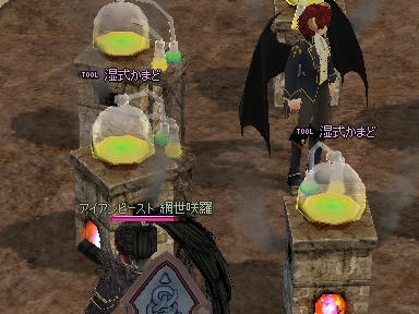 mabinogi_2010_01_23_03.jpg