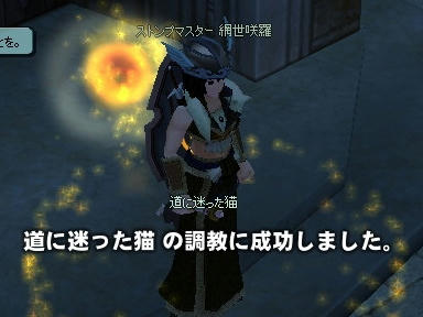 mabinogi_2010_01_23_06.jpg