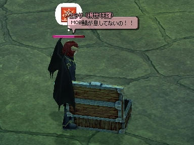 mabinogi_2010_01_23_11.jpg