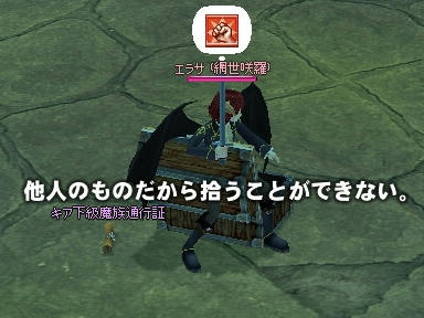 mabinogi_2010_01_23_19.jpg