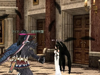 mabinogi_2010_01_25_03.jpg