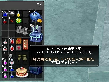 mabinogi_2010_01_25_05.jpg