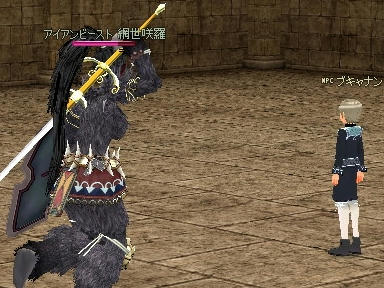 mabinogi_2010_01_27_02.jpg