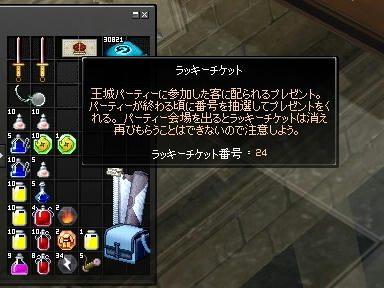 mabinogi_2010_01_30_02.jpg