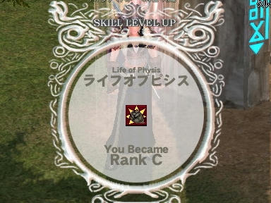 mabinogi_2010_01_30_17.jpg