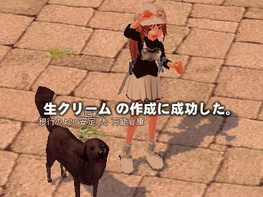 mabinogi_2010_02_09_03.jpg