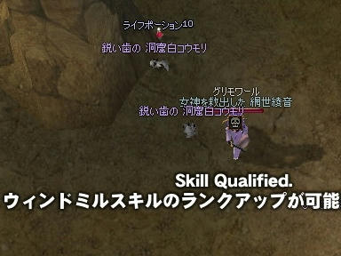 mabinogi_2010_02_13_05.jpg