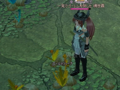 mabinogi_2010_02_17_08.jpg