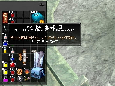 mabinogi_2010_02_17_10.jpg