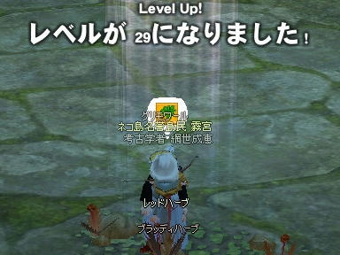 mabinogi_2010_02_21_09.jpg