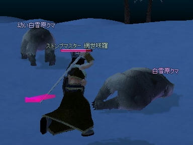 mabinogi_2010_03_02_01.jpg