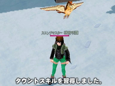 mabinogi_2010_03_02_07.jpg