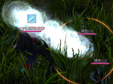 mabinogi_2010_03_09_02.jpg