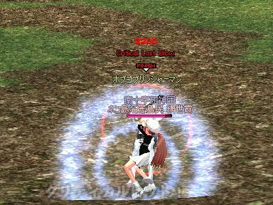 mabinogi_2010_03_20_01.jpg