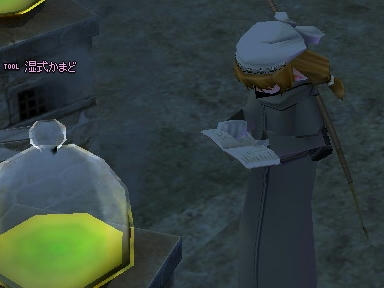 mabinogi_2010_03_23_00.jpg
