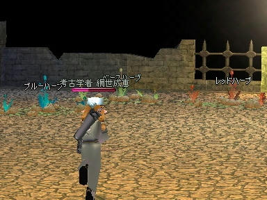 mabinogi_2010_03_26_03.jpg