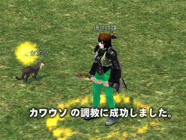 mabinogi_2010_03_29_00.jpg