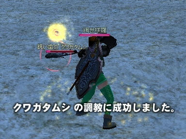mabinogi_2010_03_30_00.jpg