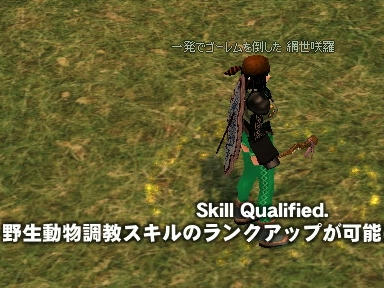 mabinogi_2010_03_30_03.jpg