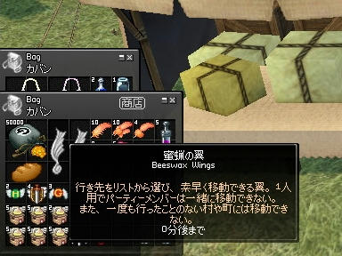 mabinogi_2010_04_09_00.jpg