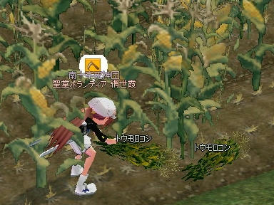mabinogi_2010_04_12_00.jpg