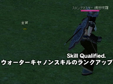 mabinogi_2010_04_26_01.jpg