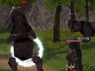 mabinogi_2010_04_26_02.jpg