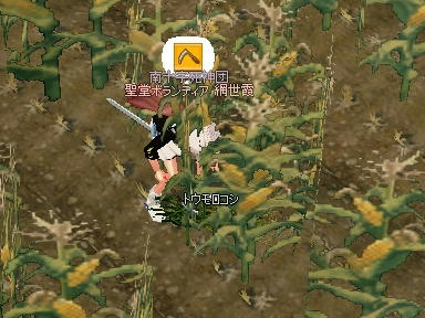 mabinogi_2010_04_27_03.jpg